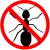 Pest Control Ant