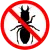 Pest Control Beetle 2