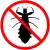 Pest Control Louse