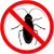 Pest Control Roach